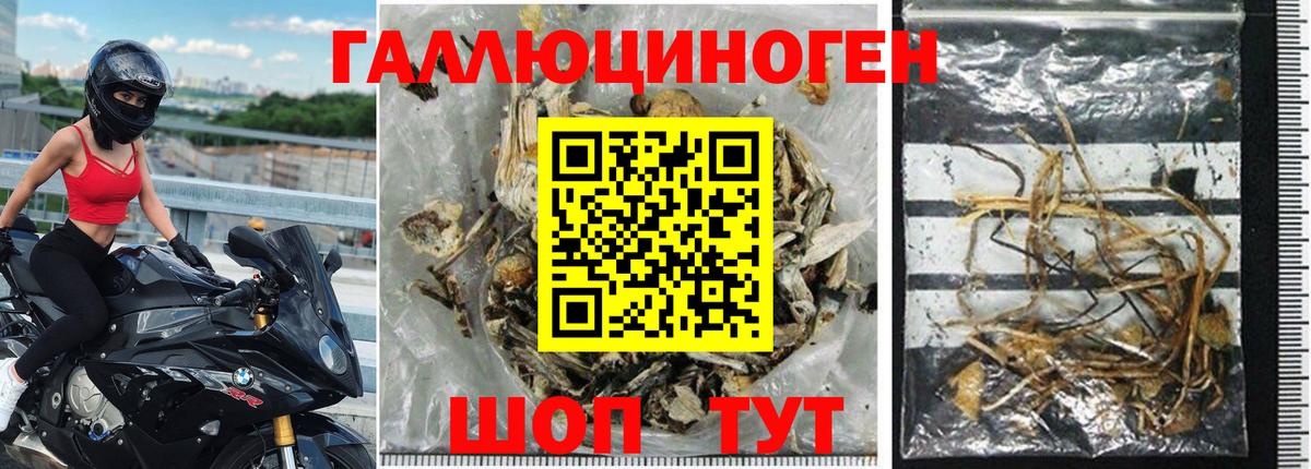Обнинск  Псилоцибиновые грибы мицелий  Вход с VPN 